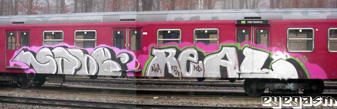 sabe-real02.jpg
