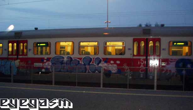 sac01.jpg