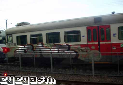 sac02.jpg