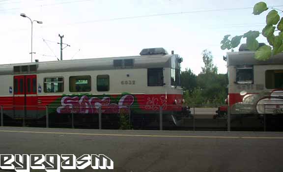 sac03.jpg