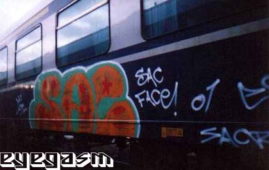 sac04.jpg