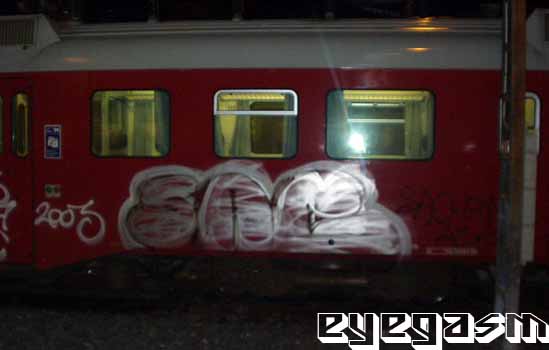 sac05.jpg