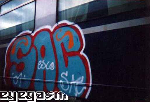 sac06.jpg