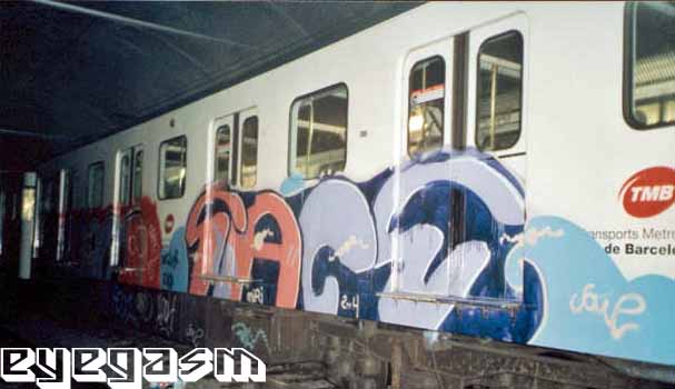 sace02.jpg