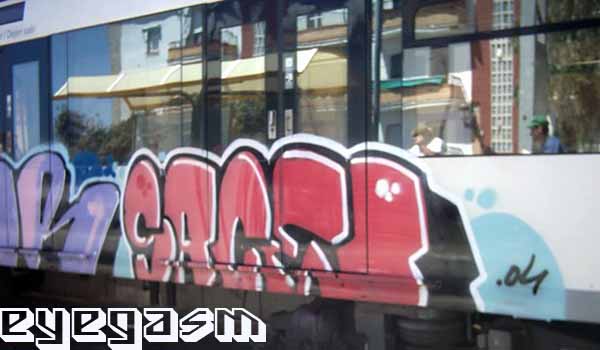 sace07.jpg