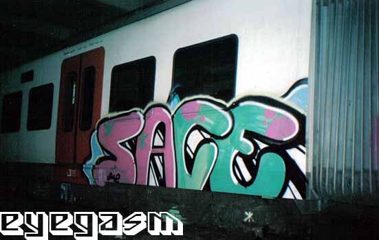 sace10.jpg