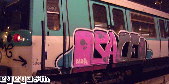 sace11.jpg