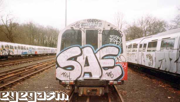 sae1.jpg