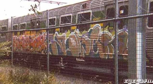 saef-pubes01.jpg