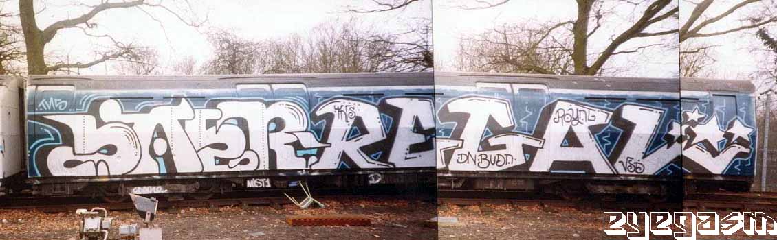 saer-regal-wc01.jpg