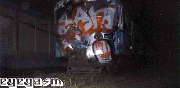 sah02.jpg