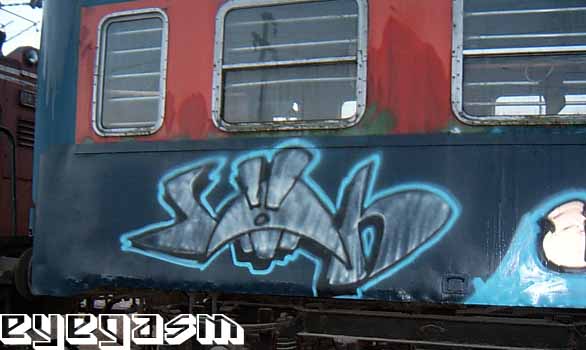 sah04.jpg