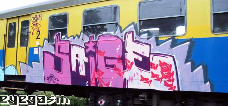 saige01.jpg