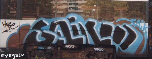 saik01.jpg