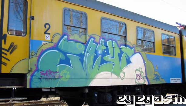 saike03.jpg