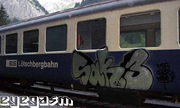 sak301.jpg
