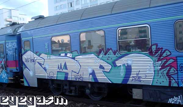 sar01.jpg