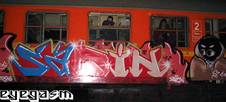 sarin01.jpg