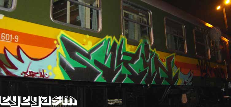 sarin04.jpg