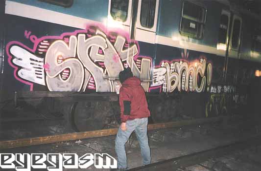 sark-bmc01.jpg