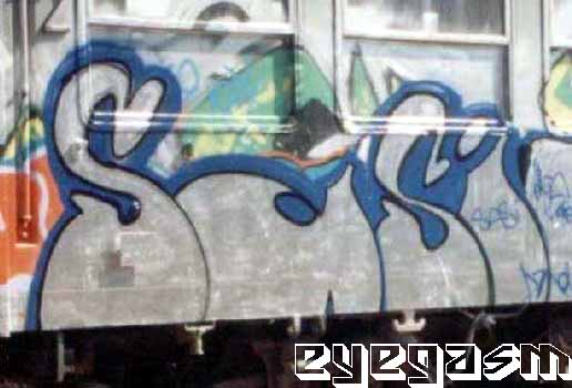 sasi01.jpg