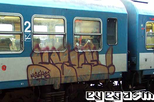 save02.jpg