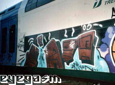 sawe02.jpg