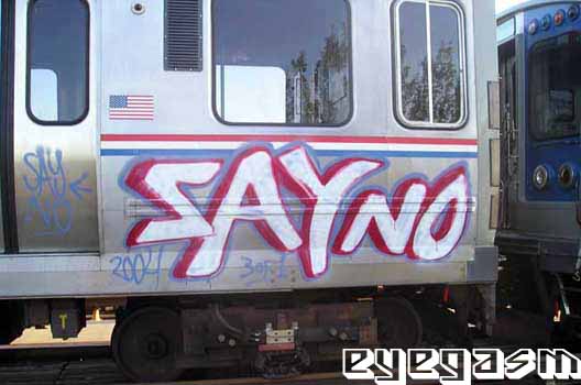 sayno01.jpg