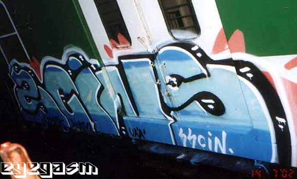 scins01.jpg