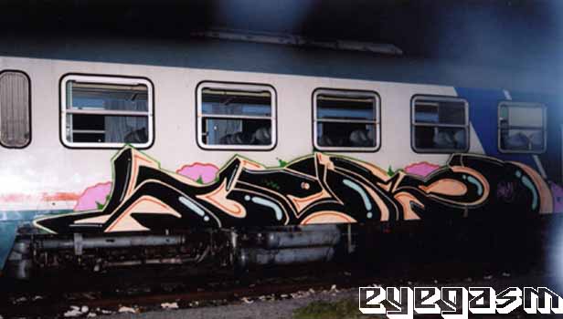 sclero01.jpg