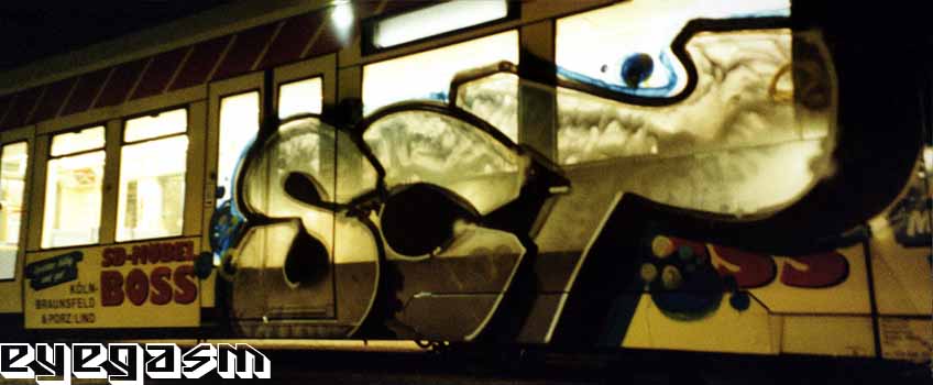 sct01.jpg