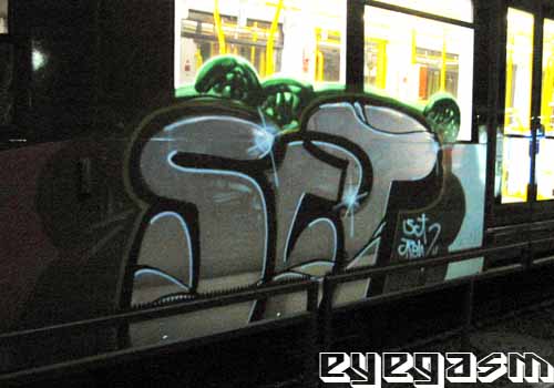 sct02.jpg