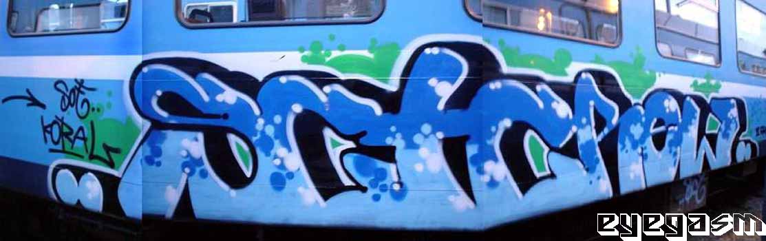 sctcrew01.jpg