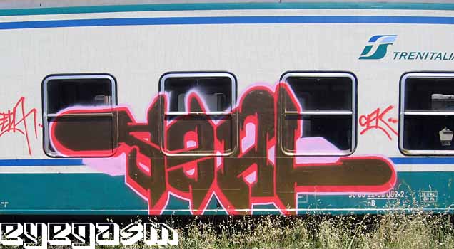 seal08.jpg