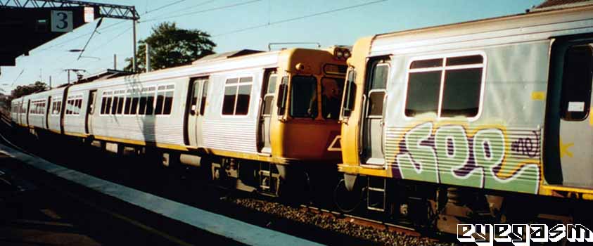 see1.jpg