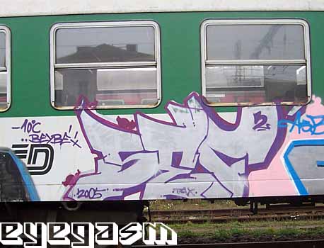 sef01.jpg