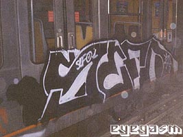 sefo01.jpg