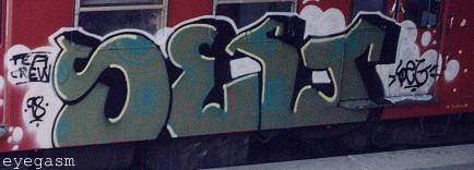 seg01.jpg