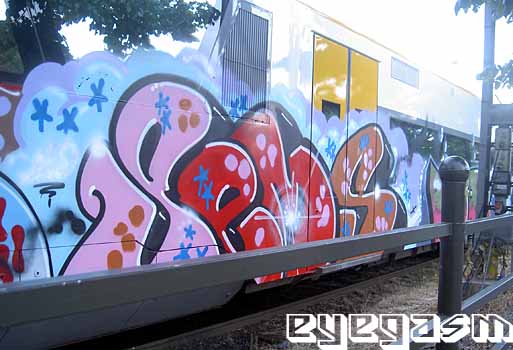 sems02.jpg