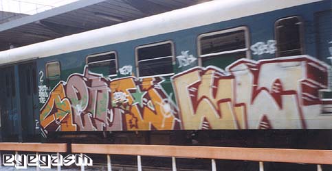 seno-culo01.jpg