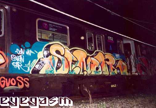 senor03.jpg