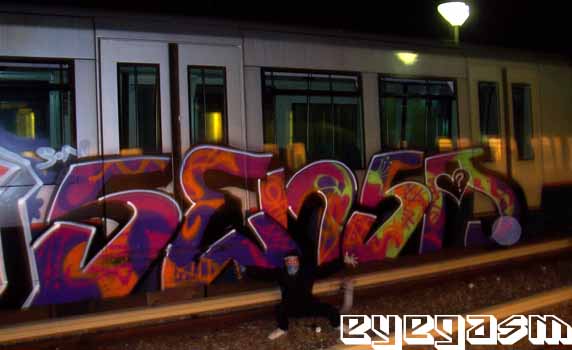 sensa001.jpg
