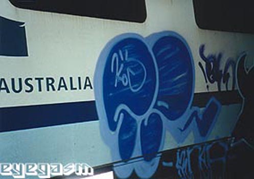 sensa06.jpg