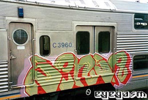 sensa10.jpg