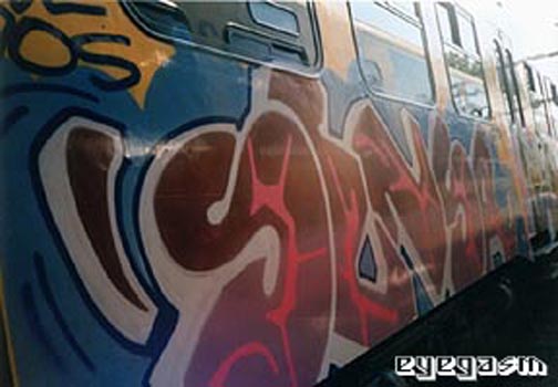 sensa12.jpg