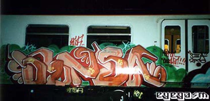 sensa13.jpg