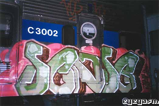 sensa14.jpg