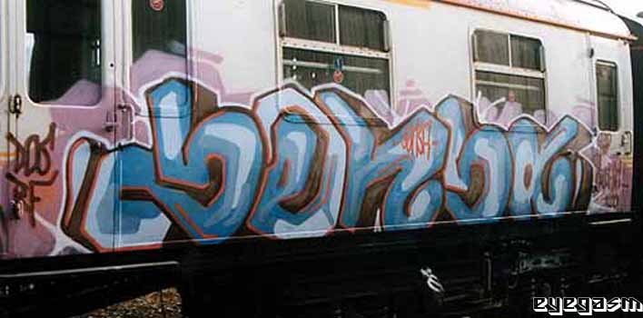 sensa15.jpg