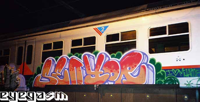 senyor02.jpg