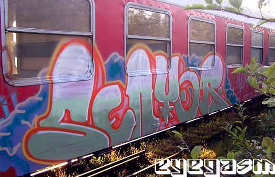 senyor04.jpg